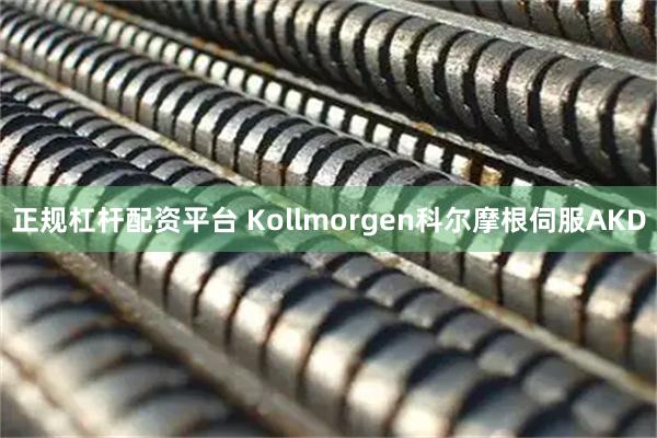 正规杠杆配资平台 Kollmorgen科尔摩根伺服AKD
